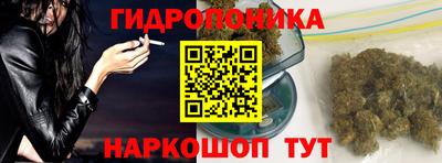 гидра Пыть-Ях
