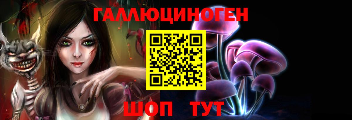 Псилоцибиновые грибы Psilocybe  Вход с VPN  Пенза  Галлюциногенные грибы прущие грибы 
