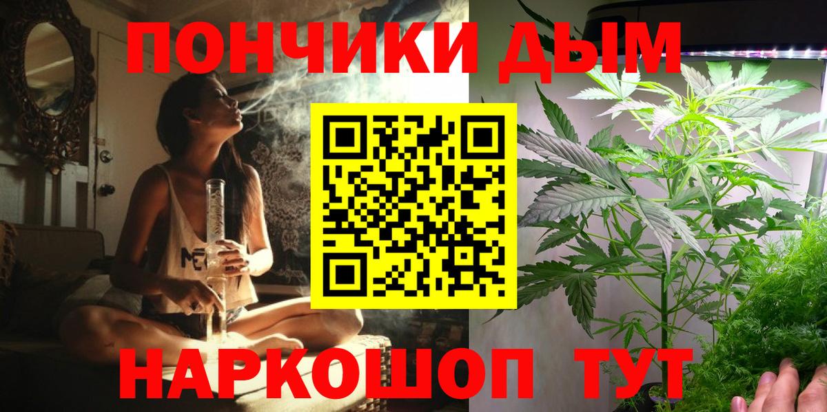 Марихуана сатива  Марихуана планчик  Вход с VPN  Бошки марихуана гибрид  Пенза 